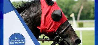 Conférence Horses and coaching – Mardi 16 Juin à 19h conférence management coaching horse